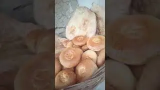 #нониточики