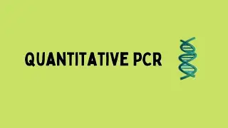 Quantitative PCR