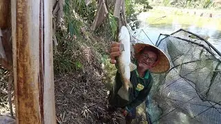 COLOQUEI PEIXES E FINALIZEI O SANGRADOR DA BARRAGEM