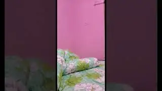 BIGO LIVE  cici goyang bar-bar 