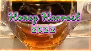 Honey Harvest 2022