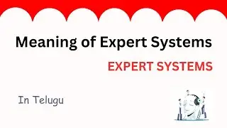Meaning of an Expert system 