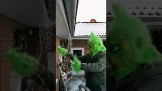 Wer hat noch so einen romantischen Grinch Zuhause? #weihnachten #grinch #grinchmas #weihnachtszeit