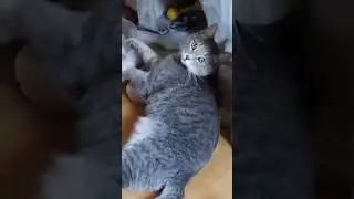 душевный вечер