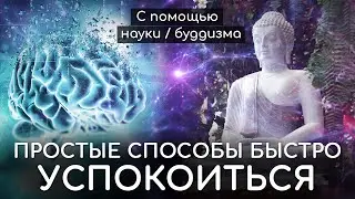 Простые способы быстро успокоиться. Как бороться с тревогой с помощью науки, буддизма, осознанности