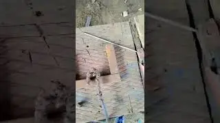 sikanja kaise bnaye  how to make a shikanja