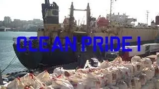 Выгрузка японских машин с судна OCEAN PRIDE I 15.11.2021 г
