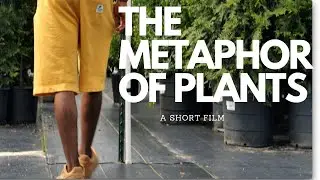 The METAPHOR of PLANTS | A short film