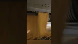 2 1/2 minutes to dump a hopper #2024  #cute #corn