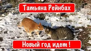 Татьяна Рейнбах - Новый год идет !