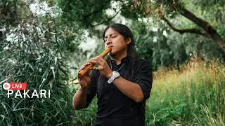 Pakari - Good moment with Andean music🦅