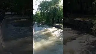 Третий день после дождей