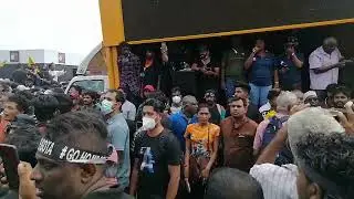 #shortfeed #srilanka #gotagohome #aragalaya #video Of Sri Lanka Protestors Through, gall face
