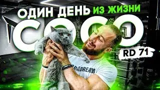 День из жизни ТРЕНЕРА ЗАЛА RD