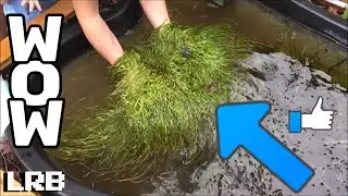 Massive Red Corkscrew Val Mat Pond Pullout in HD