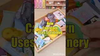 How Capricorn Uses Stationery? #shorts