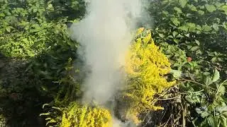 Ритуалы на счастливую и удачливую осень. 2. На букет в огне. К Погоде.