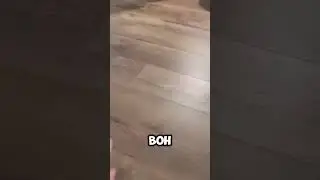Ламинат взбунтовался))