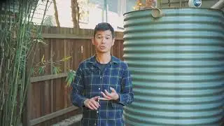 12 Steps of Rain Harvesting Overview