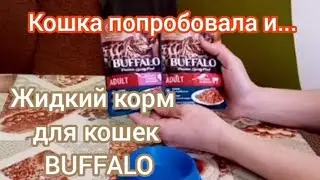 Обзор на Buffalo (Баффало) - жидкий корм для кошек