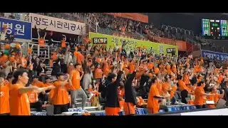 우리는 오렌지 태양 아래 - 감동 캐롯