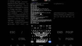 Bug bounty poc cors vulnerability exploit