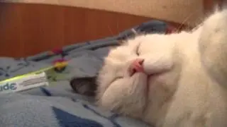 Суспензия на кровати