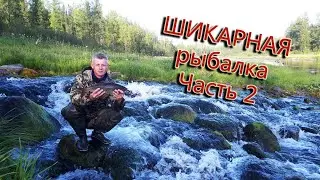 Шикарная рыбалка на горной реке! Огромный хариус! Часть 2