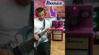 🎸 КАКОЙ ДЕЛЕЙ ВАМ БЛИЖЕ ПО ЗВУКУ? Ibanez AD-9 или ЛЕЛЬ CZ #гитара #гитарист #ibanez #лельцз #guitar