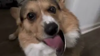 Look At That Tongue Go