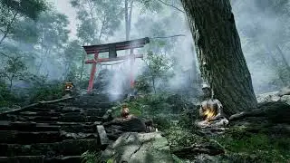 Japanese Garden landscape
