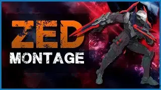 MNX TEAM ZED MONTAGE