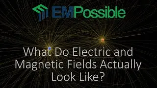 What Do Electric and Magnetic Fields Actually Look Like?