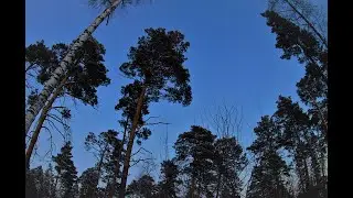 Рыбалка. Первый Лед. Пробное открытие сезона 2020-2021! Лесной маршрут.