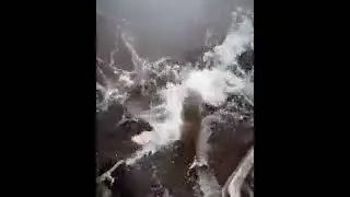 Кого ты больше любишь    Маму или папу