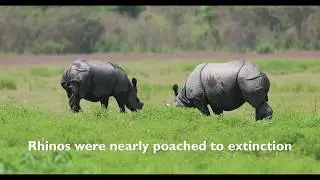 Rhino Lookout: A Schoolchild's Oath