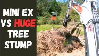 Mini Excavator VS HUGE Tree Stump! Bobcat E35