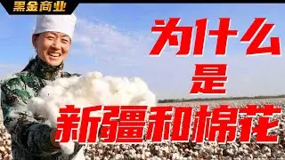 一邊造謠抵制新疆棉花，一邊又想在中國賺錢？ H&M被央視解讀為荒謬| 黑金商業