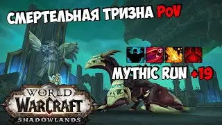 Mythic Run +19 | Смертельная Тризна | Fire Mage PoV | WoW ShadowLands 9.0.5