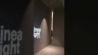 LineaLight Duplex Apartment