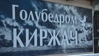 Голубедром Киржач единственный в России имеет международный уровень