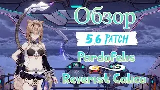 Honkai Impact 3rd Гайд #68 Обзор 5.6. Кошкодевочка. Pardofelis - Reverist Calico