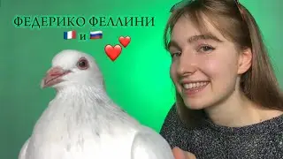 Galibri & Mavik 