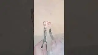 19 ноября 2023 г.