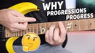 WHY Do Chord Progressions Progress!? The Fundamentals Of Music Theory