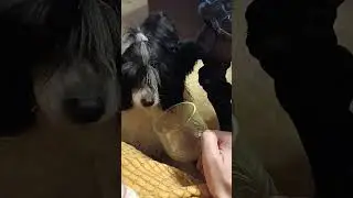 По пивку? 🍺