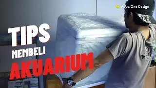 cara membeli akuarium