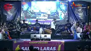 TEGANG - CAK PERCIL DI GOYANG JANDA CANTIK