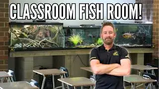 THE NEW FISH ROOM IS COMPLETE! (Moving 7 Large Aquariums)