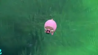 SHINY LECHONK IN POKEMON VIOLET